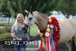 23R13_13993 thumbnail